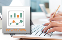 Excel-PowerView-training-.jpg